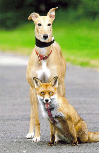 Jas n roxy