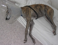 Cone_2