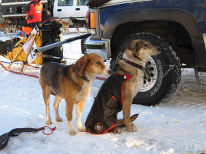 Quest_race_start_photos_004